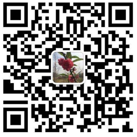 东莞j9九游会机械有限公司